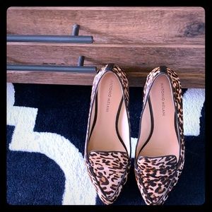 Antonio Melani Shoes